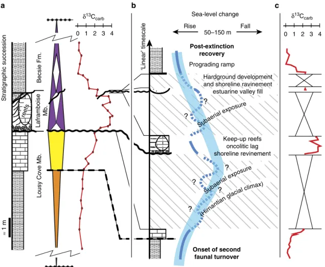 Figure 4 | A detailed interpretation of the far-ﬁeld LOGC 3 stratigraphic and isotopic record