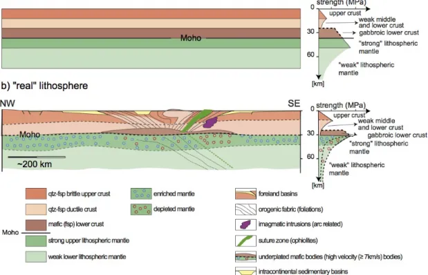 Fig.  1:  Lithospheric  scale  sections  showing  (a)  an  idealized  lithosphere  made  of  a  layer 1170   