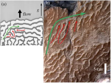 FIG. 9. (Color online) Feature comparison 1 between the experimental observations at φ = 0.4, α = 4 ◦ (a) remaining structures on dyke walls found in the Inmar formation (b)