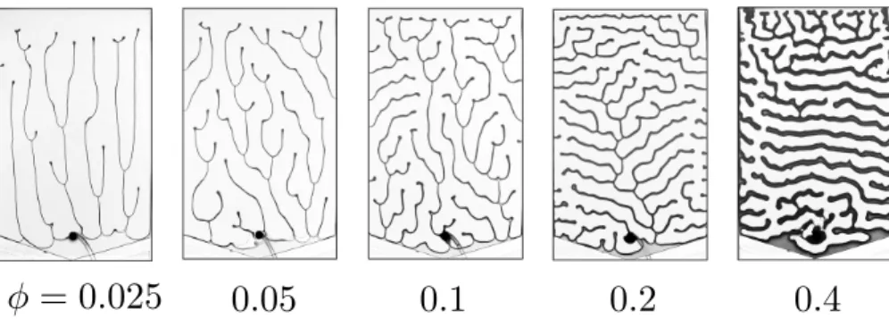 FIG. 3. Final configuration of the experimentally observed pattern at constant tilt angle, α = 4 ◦ , with varying filling fraction φ