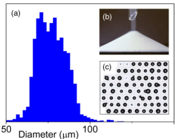 FIG. 2. (Color online) (a) Bead size distribution. (b) Cone of granular material poured through a funnel; angle of repose, ≈ 27 ◦ C.