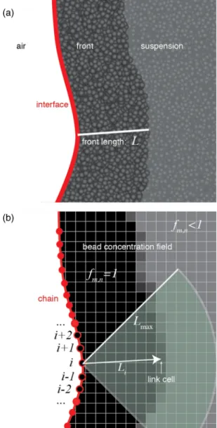 FIG. 7. (Color online) Discretization procedure. (a) Hele-Shaw cell seen from above. The air phase is on the left-hand side