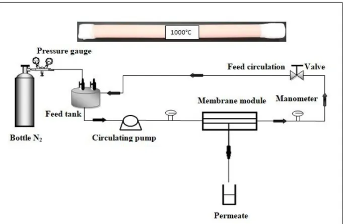 Figure 2. Schematic representation of the home-made Ultrafiltration setup. 