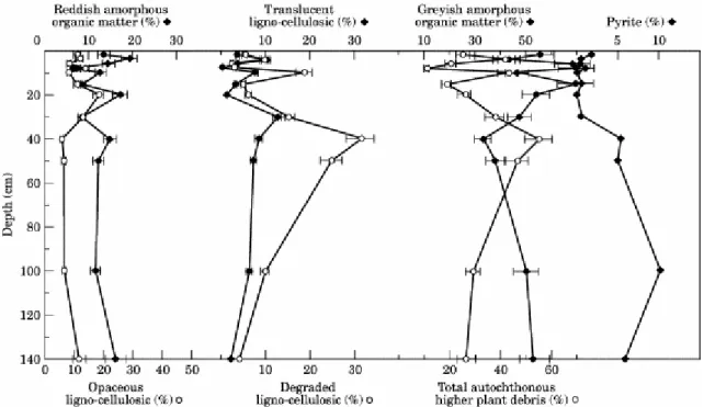 Fig. 8. Vertical profile of petrographic constituents—dead recolonized mangrove forest sediments (C2)