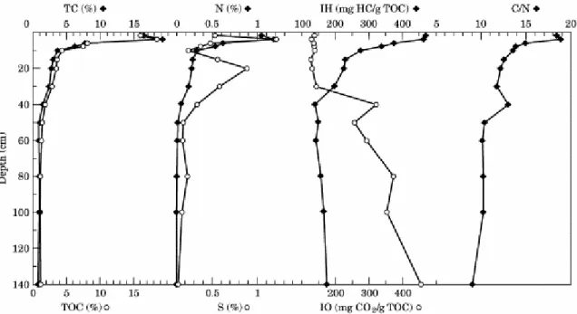 Fig. 4. Vertical profile of organic geochemical data—senescent mangrove forest sediments (C12)
