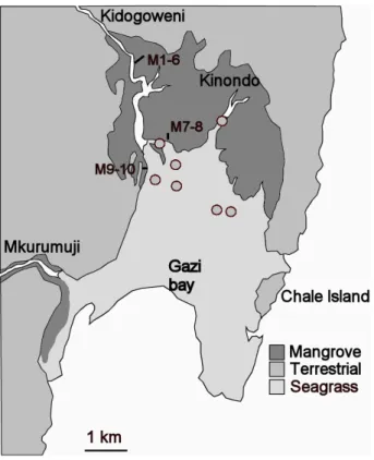 Fig. 1. Location of the study area and sampling sites. Short lines show the transects where 2  mangrove cores (indicated as M1 to M10) were taken, seagrass sampling sites are shown as grey circles