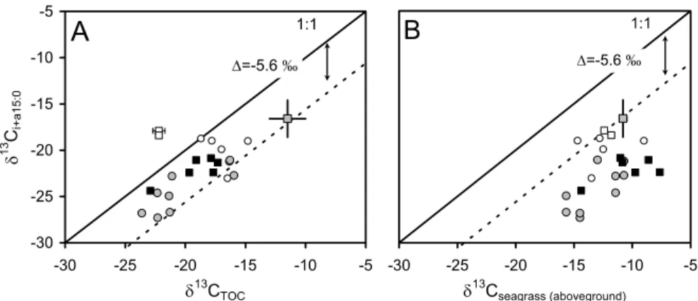 Fig. 6. 2  δ 13 C values of i+a15:0 versus (A) δ 13 C of bulk sediment organic carbon, and (B) δ 13 C of (aboveground) seagrass tissues