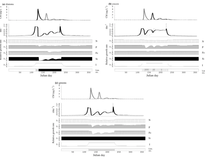 Fig. 3. Seasonal dynamics (over calendar year) of (a) diatom abundance at NABE (first panel, black line; the dynamics of the other two groups are also shown in gray), their growth (solid line) and mortality (dashed line) rates (second panel), the relative 