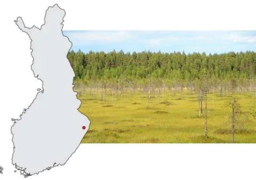 Fig. 1. Location of the study site in Finland, indicated by the red point.