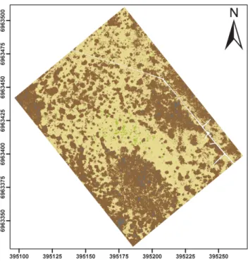 Fig. 2. Result of the maximum likelihood classification at a ground resolution of 6 cm;