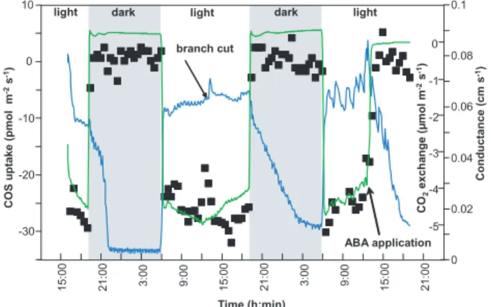 Fig. 1. Exchange (negative=uptake) of carbonyl sulfide (COS, filled squares) in relation to branch (leaf) conductance (blue line) as a measure of stomatal pore width and CO 2 exchange (green line) with negative values for uptake (assimilation) and positive