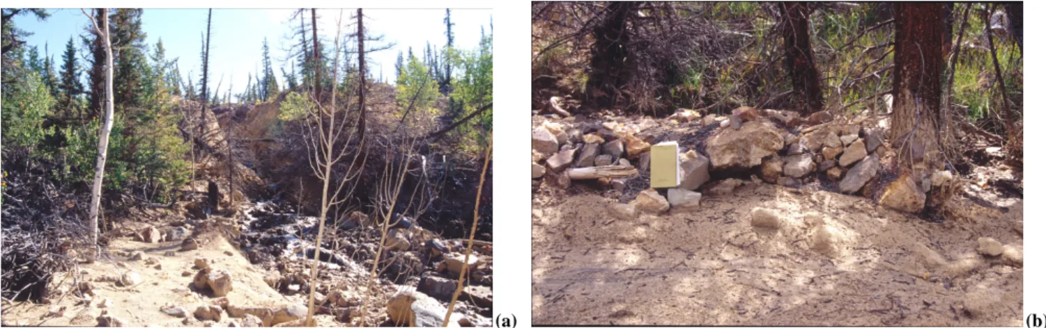 Fig. 10. Path (a) and deposits (b) from debris flows occurring at the active toe.