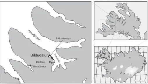 Fig. 3. Location of the study area B´ıldudalur (Arrow gives view direction of Fig. 4).