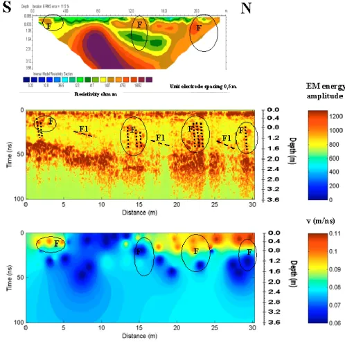 Fig. 5. Survey results: (a) 2-D electrical resistivity model; (b) envelopes processed radar section: the fracture with high EM energy scattering are labelled F and F1; (c) EM wave velocity variation model
