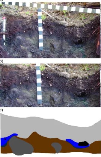 Fig. 2. Cross-section 7, examples of (a) the original photo, (b) the rectified colour corrected image, and (c) the digitized image shown in Fig