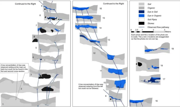 Fig. 3. Cross-sections showing the location of the stained soil, the soil pipes, and the observed flow paths between the cross-sections