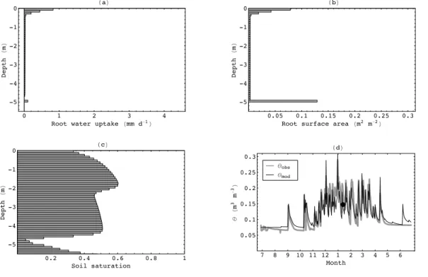 Fig. 5. Simulated below-ground conditions during the mid-wet season (200 days after model initialisation)