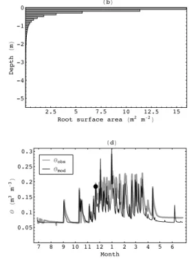 Fig. 8. Simulated below-ground conditions during the early wet season (147 days after model initialisation) simulated using a fixed root distribution