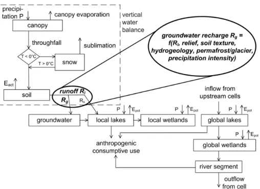 Fig. 1. Schematic representation of water flows and storages in each 0.5 degree grid cell as simulated by the global hydrological model WGHM, highlighting the computation of di ff use groundwater recharge