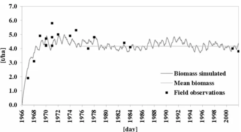 Fig. 4. Leaf biomass simulated (continuous line) and mean relative biomass after stabilisation (horizontal line)