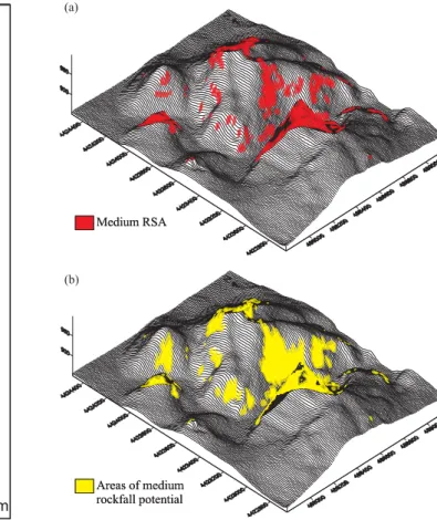 Fig. 8. RSA map of the study area.