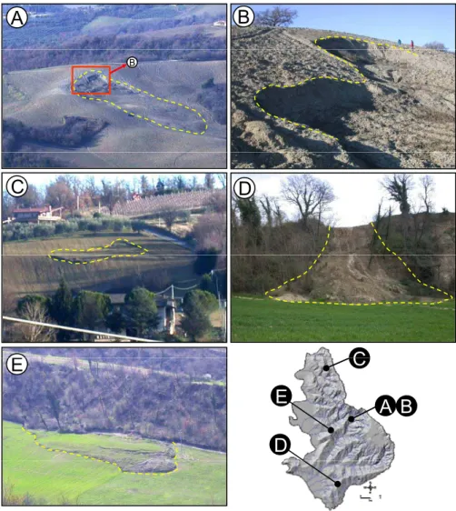 Fig. 2. Typical landslides in the Collazzone area. Yellow dashed lines show landslide boundary