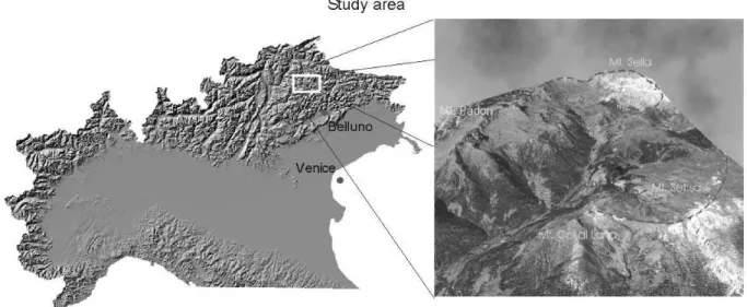 Fig. 3. Location of the study area.