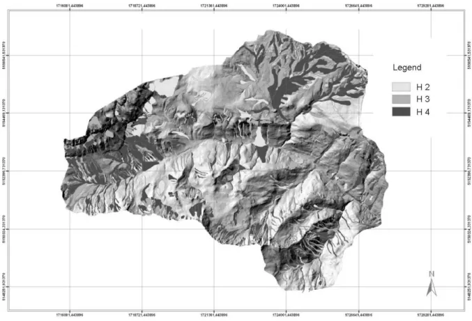 Fig. 4. Cordevole upper basin Hazard map.