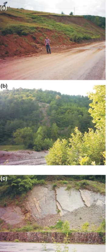 Fig. 4. Examples of landslide types mapped in the study area: (a) rotational slide; (b) earth flow; (c) translational slide.