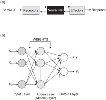 Fig. 7. (a) Generalized illustration of the human nervous system (after Haykin, 1999); (b) general structure of an artificial neural network.