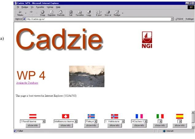 Fig. 1. EU CADZIE database internet page and MS Excel database overview.