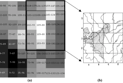 Figure 7: Magnified window of NDVI differences image (a) showing the Katihori area. NDVI  Pixel values before and after the fire are indicated