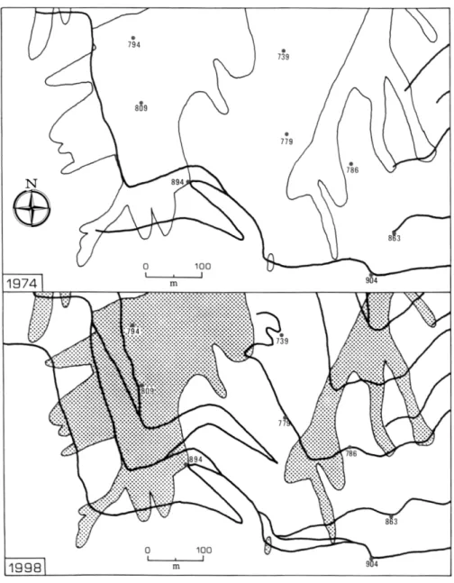 Figure 9 – Maps showing evolution of the pathways (boldlines) from 1974 to 1998 in the Connola –  S