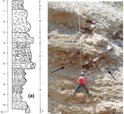 Figure 7 – (a) Stratigraphy of the 10.7 metres high section of fan deposits at Pietra della Valle