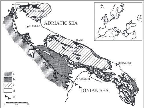Fig. 1. Geological map of Apulia re- re-gion. The position of the Lesina coastal barrier is marked by a box