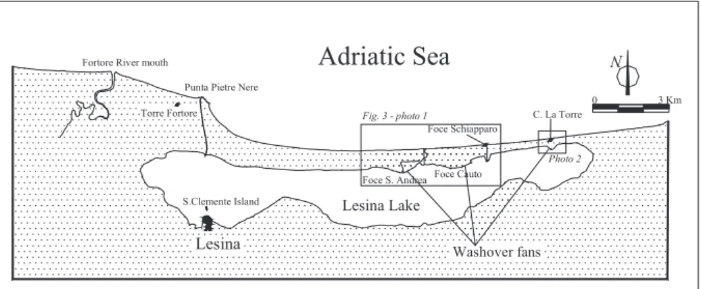Fig. 2. Geographic position of the Lesina coastal barrier and washover fans. Foce S. Andrea Foce CautoTorre Scampamorte Foce SchiapparoAdriatic Sea Lesina Lake01 Km N+ +++++ ++++++Gravaglione