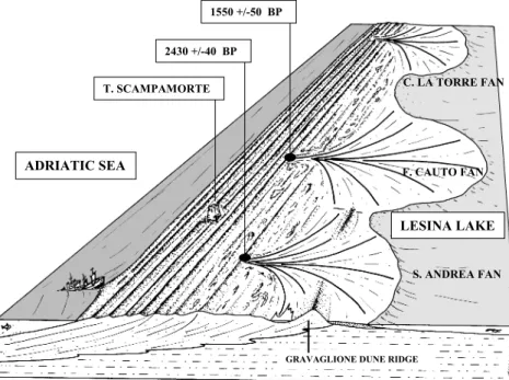 Fig. 7. Geomorphological sketch of the Lesina coastal barrier. The position of samples dated by means of AMS  ra-diocarbon age determinations is also  re-ported