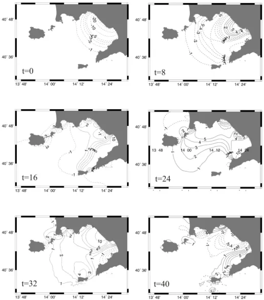 Fig. 2. Propagation of the tsunami caused by a static depression. Water elevation fields are plotted every 8 min until 40 min after tsunami initiation