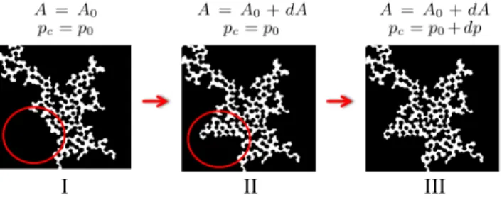 Fig. 2 shows a typical invasion process. The time differ- differ-ence between the first and last images is about 82 hours.