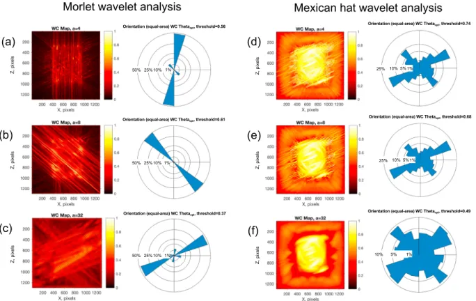 Figure 2. Comparison of the analyses of the synthetic fracture network (Figure 1) performed with the fully anisotropic directional (a–c) Morlet wavelet and the anisotropic (d–f ) Mexican hat wavelet, respectively