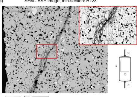 Figure 3. (a) Analyzed high-resolution SEM-BSE digital image from a polished thin section cut parallel to XZ