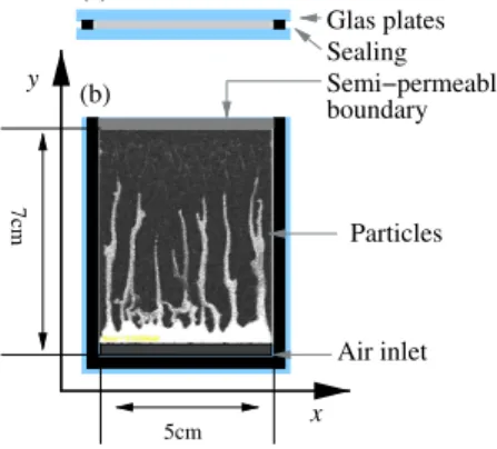 FIG. 1: (Color online) The setup of the system. (a) cross section. (b) top view. Compressed air is injected at the inlet.