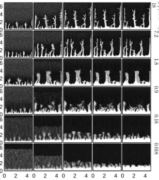 FIG. 3: Zoom in on snapshots of the particle density in the Hele-Shaw cell during the simulations at t =0.003 s