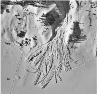 Fig. 1. Finger-shaped avalanche accumulation during the winter 1998/99 westwards of the municipality of Ulrichen, Valais,  Switzer-land