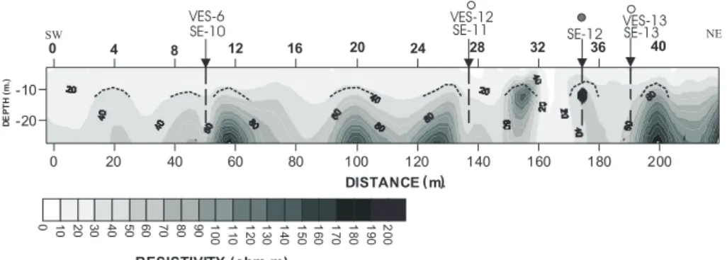 Fig. 6. Resistivity image obtained from the inversion at Lirios street.