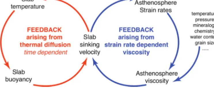 Fig. 9. Feedback loops between slab sinking dynamics and either (i) slab thermal structure (left) or (ii) asthenosphere viscosity (right)