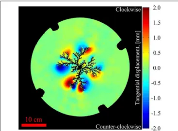 FIGURE 10 | Example of tangential displacement behavior taken from the interval of 448–488 ms (50–54% of breakthrough time) for the confined deformable experiment with 100 hPa injection pressure