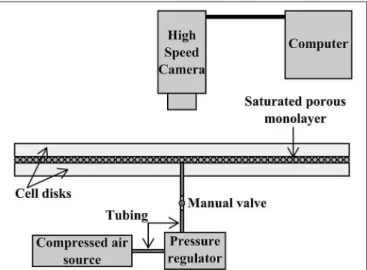 FIGURE 1 | Sketch of the experimental setup for the two-phase flow experiments: The horizontal cell consists of two transparent disks of 40 cm in diameter, clamped together (not shown) but separated by a small gap