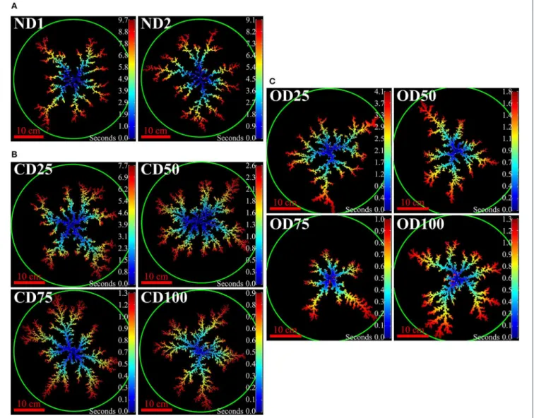FIGURE 3 | Breakthrough patterns for the non-deformable experiments (A), confined deformable experiments (B), and open deformable experiments (C)