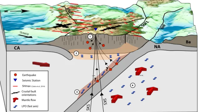 Figure 9 shows in schematic form, our interpretation of the anisotropic structure with depth based on the observed shear wave splitting measurements